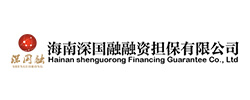 海南深國融融資擔保有限公司